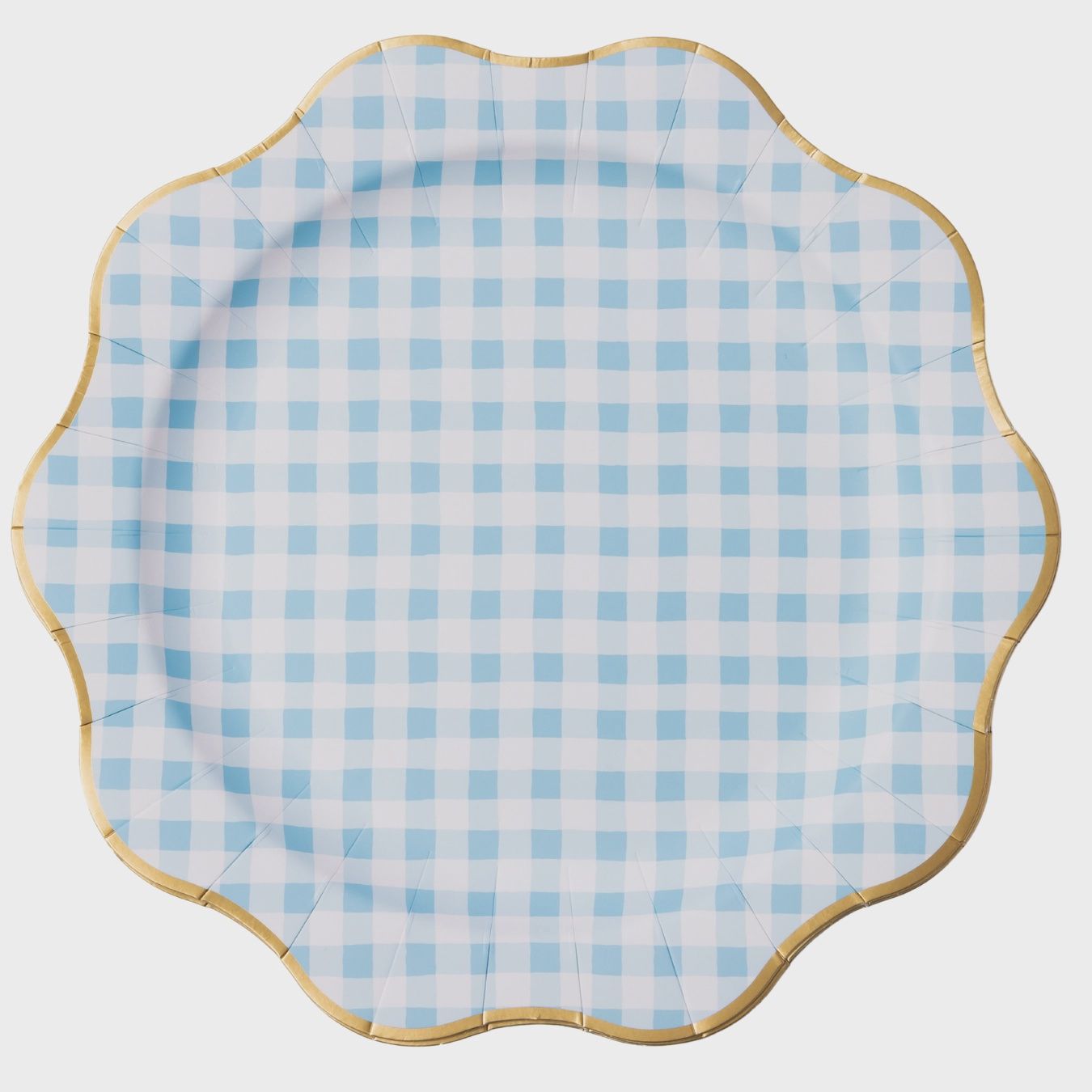 ELEGANT SKY BLUE GINGHAM DINNER PLATES