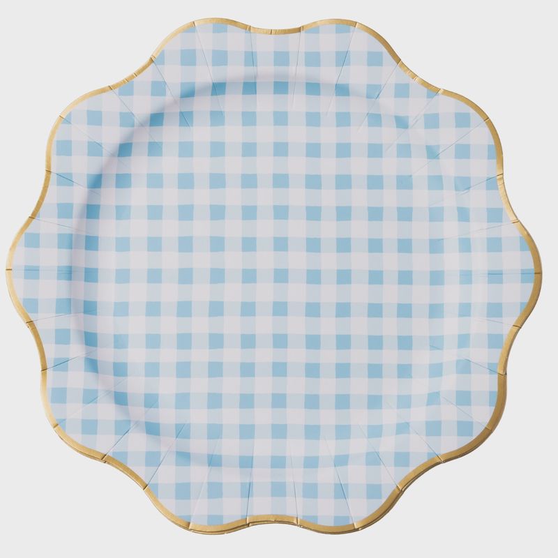 ELEGANT SKY BLUE GINGHAM DINNER PLATES
