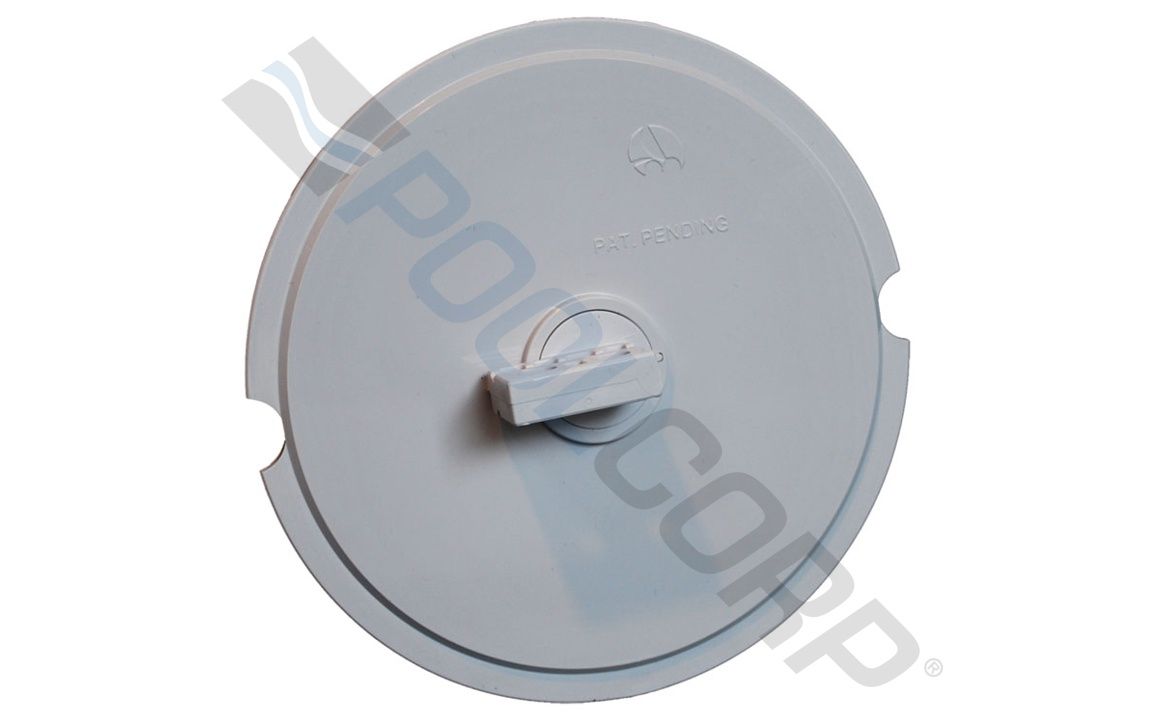 Gray Axle with Sand and Gravel Guard for Polaris® Pool Cleaner