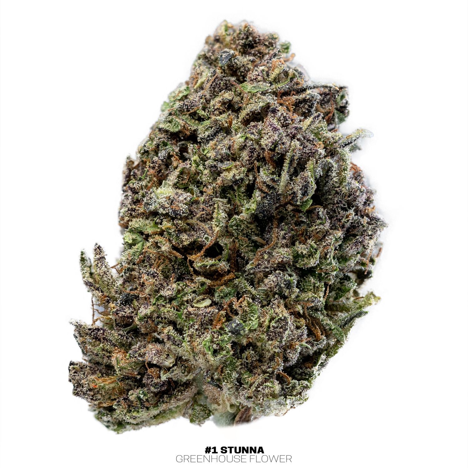7g Greenhouse Hemp Flowers (THCa), Cultivar &amp; Size: #1 Stunna