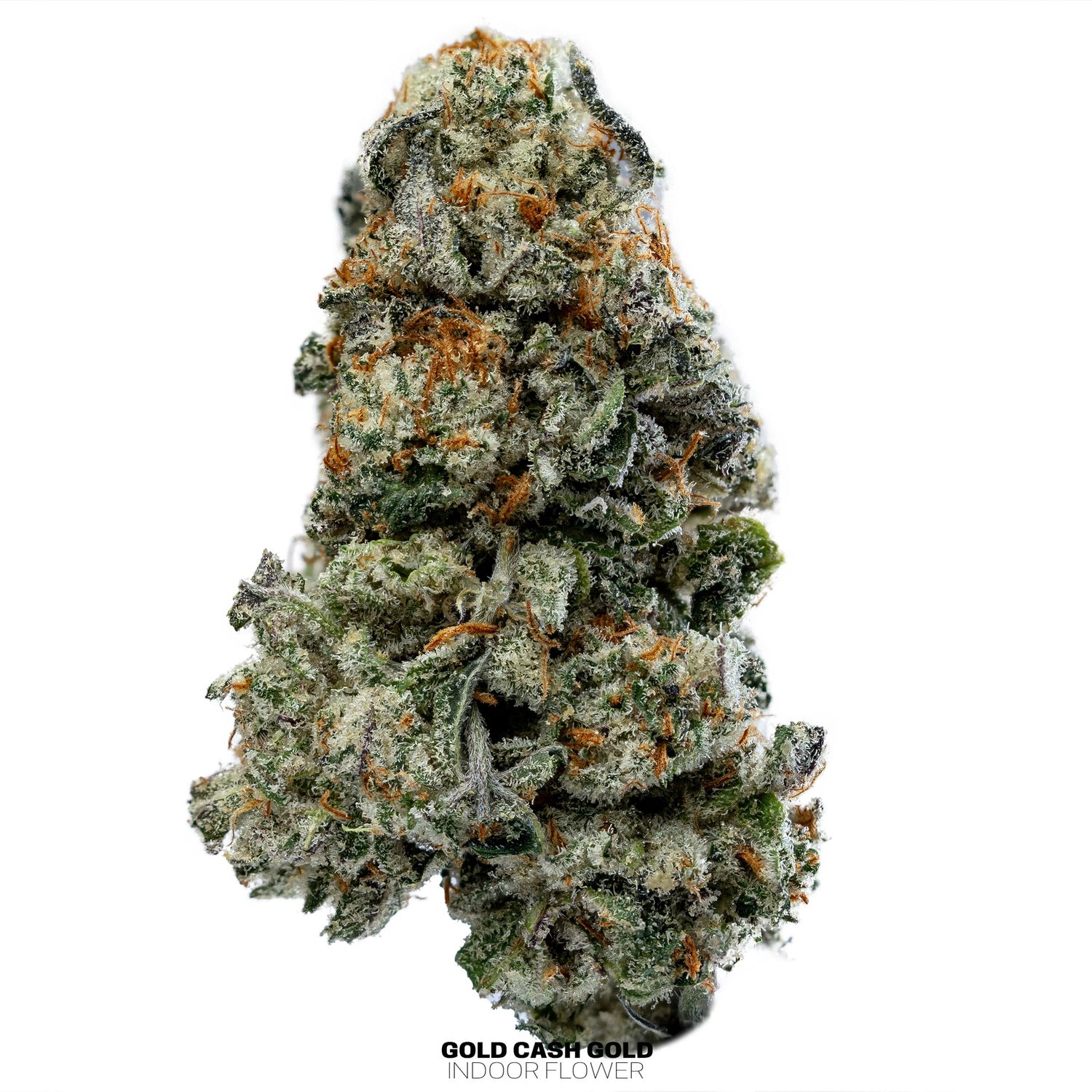 3.5g Indoor Flower (THCa), Cultivar:: Gold Cash Gold