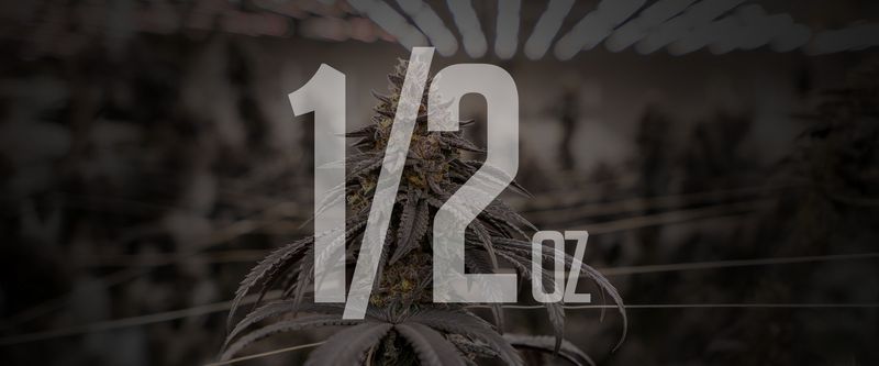 14g Indoor Flower (THCa)