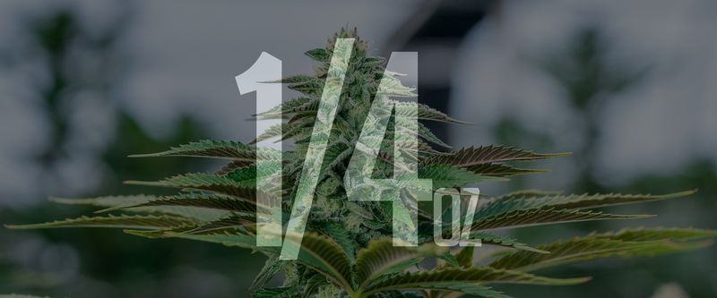 7g Greenhouse Hemp Flowers (THCa)