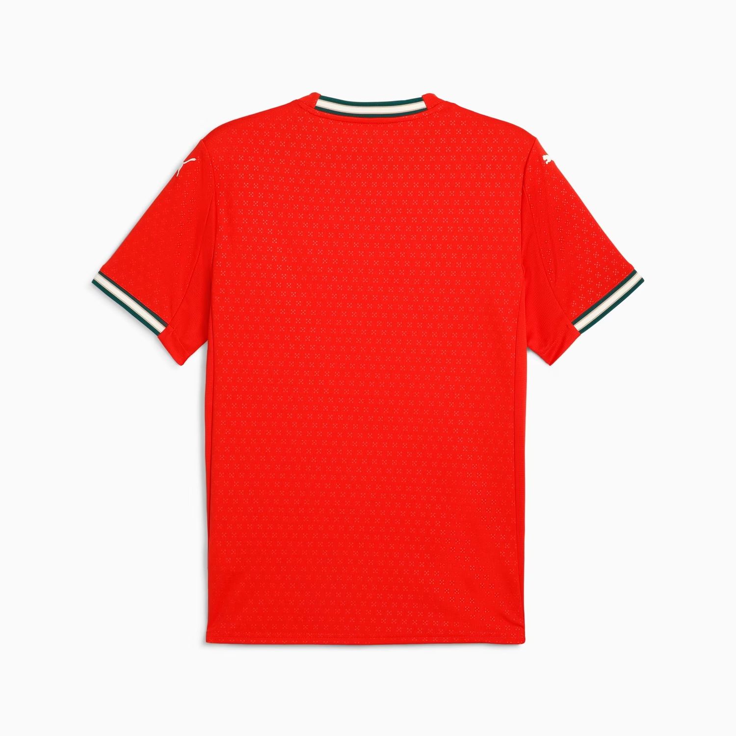 PORTUGAL 2025 HOME JERSEY (RED)