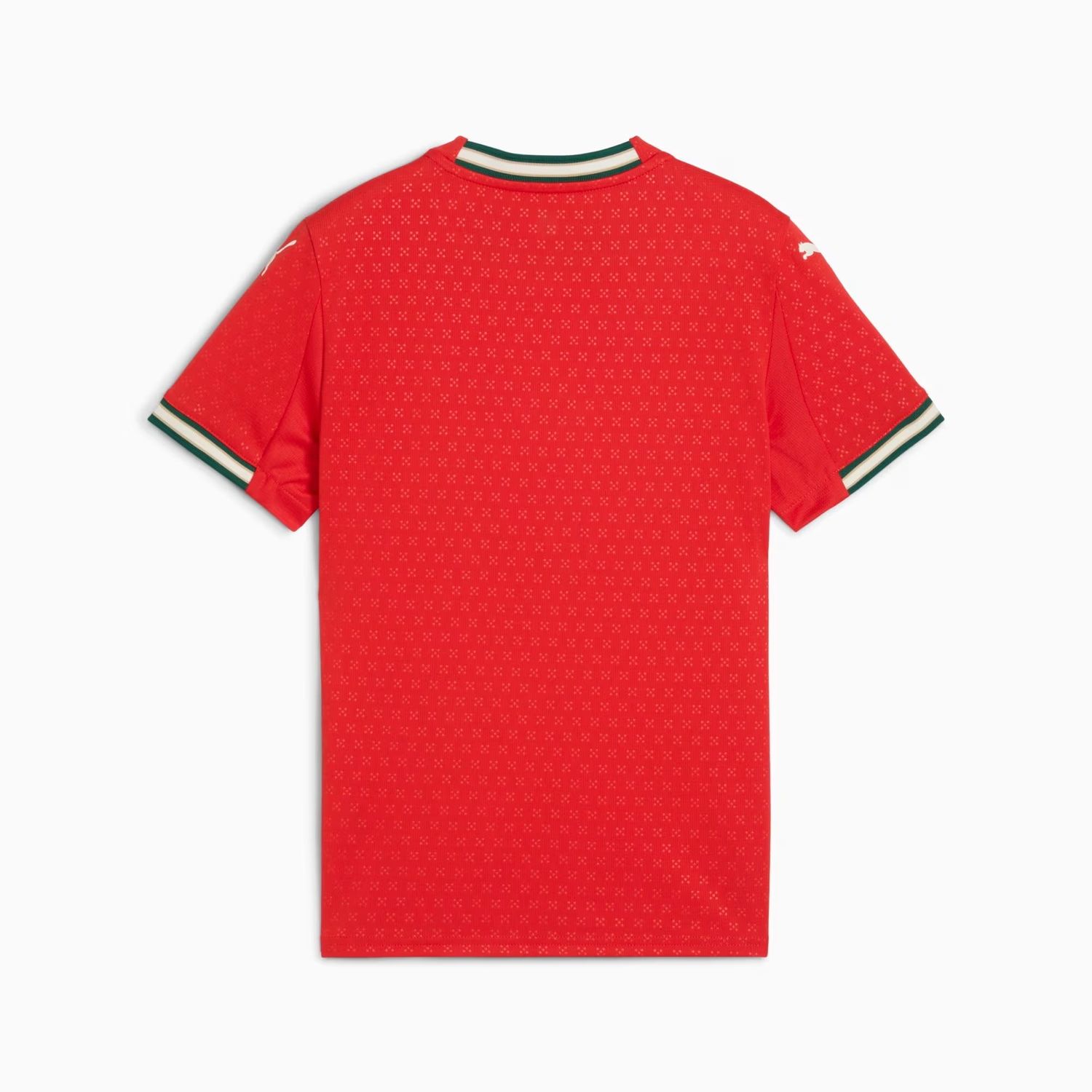 PORTUGAL 2025 HOME JERSEY YOUTH (RED)