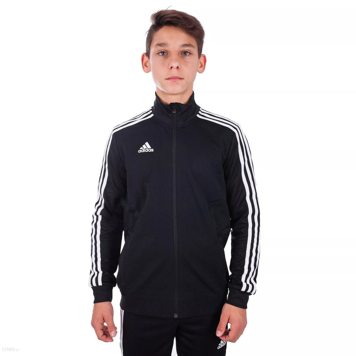 TIRO 19 TRAINING JACKET YOUTH