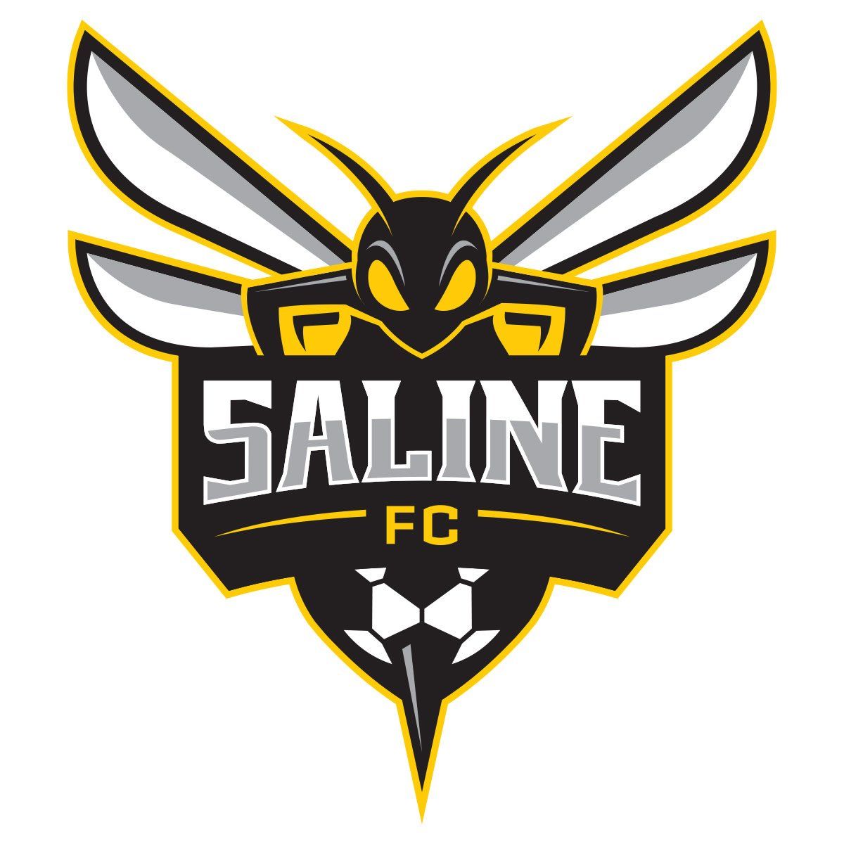 SALINE HORNET DECAL