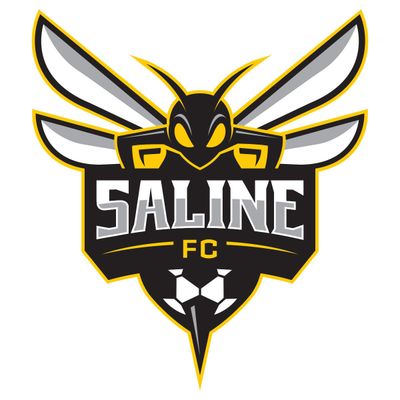 SALINE HORNET DECAL