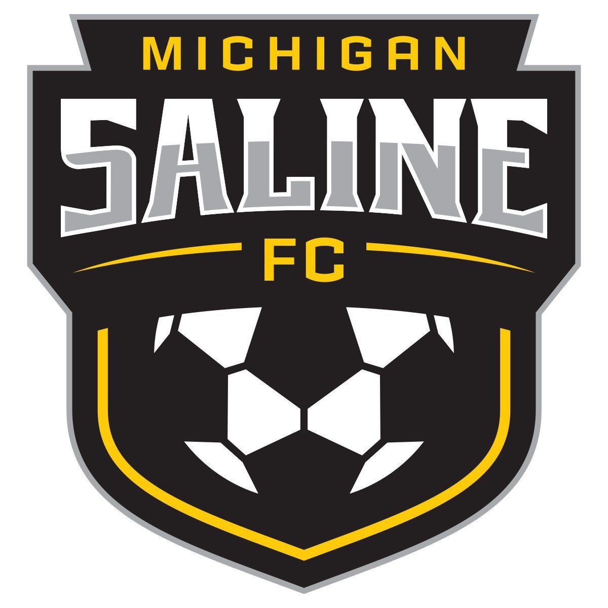 SALINE SHIELD DECAL