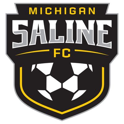 SALINE SHIELD DECAL
