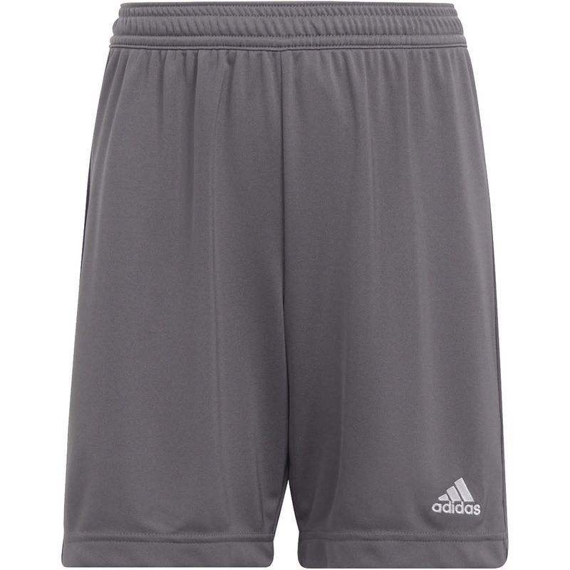 ENTRADA 22 SHORT YOUTH (GRAY)