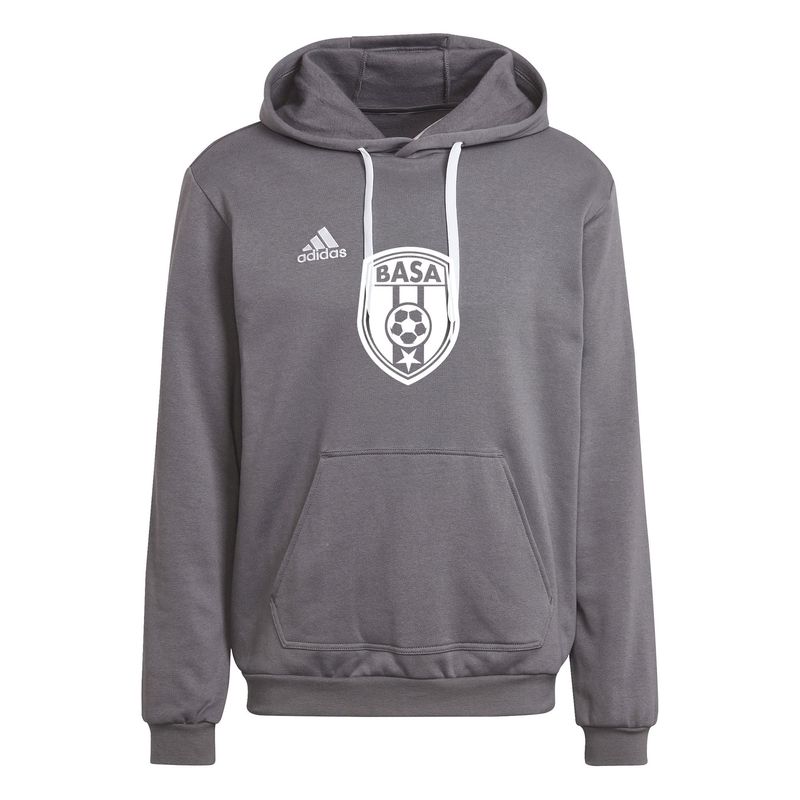 ENTRADA 22 HOODY (BASA) (GRAY)