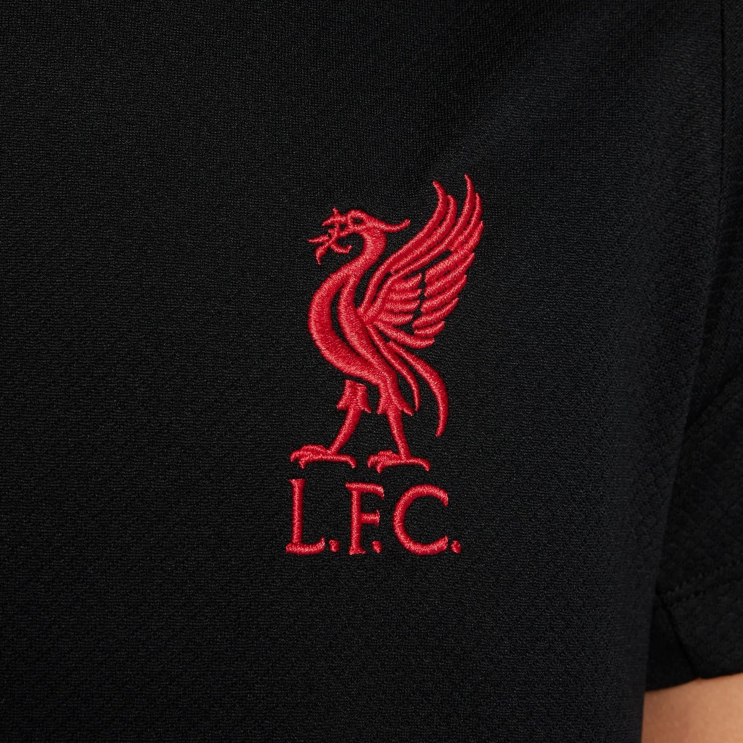 LIVERPOOL 24/25 STRIKE TRAINING JERSEY YOUTH (BLACK/CREAM)