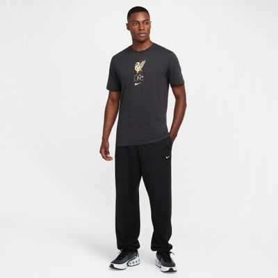 LIVERPOOL 24/25 CREST TEE (GRAY)