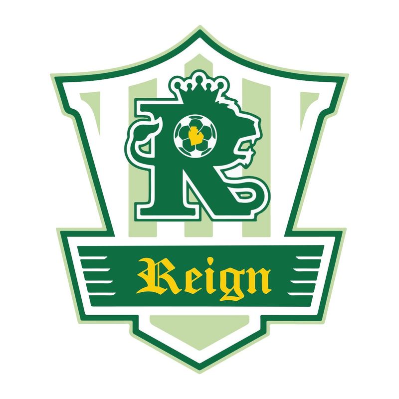 PLYMOUTH REIGN CAR DECAL