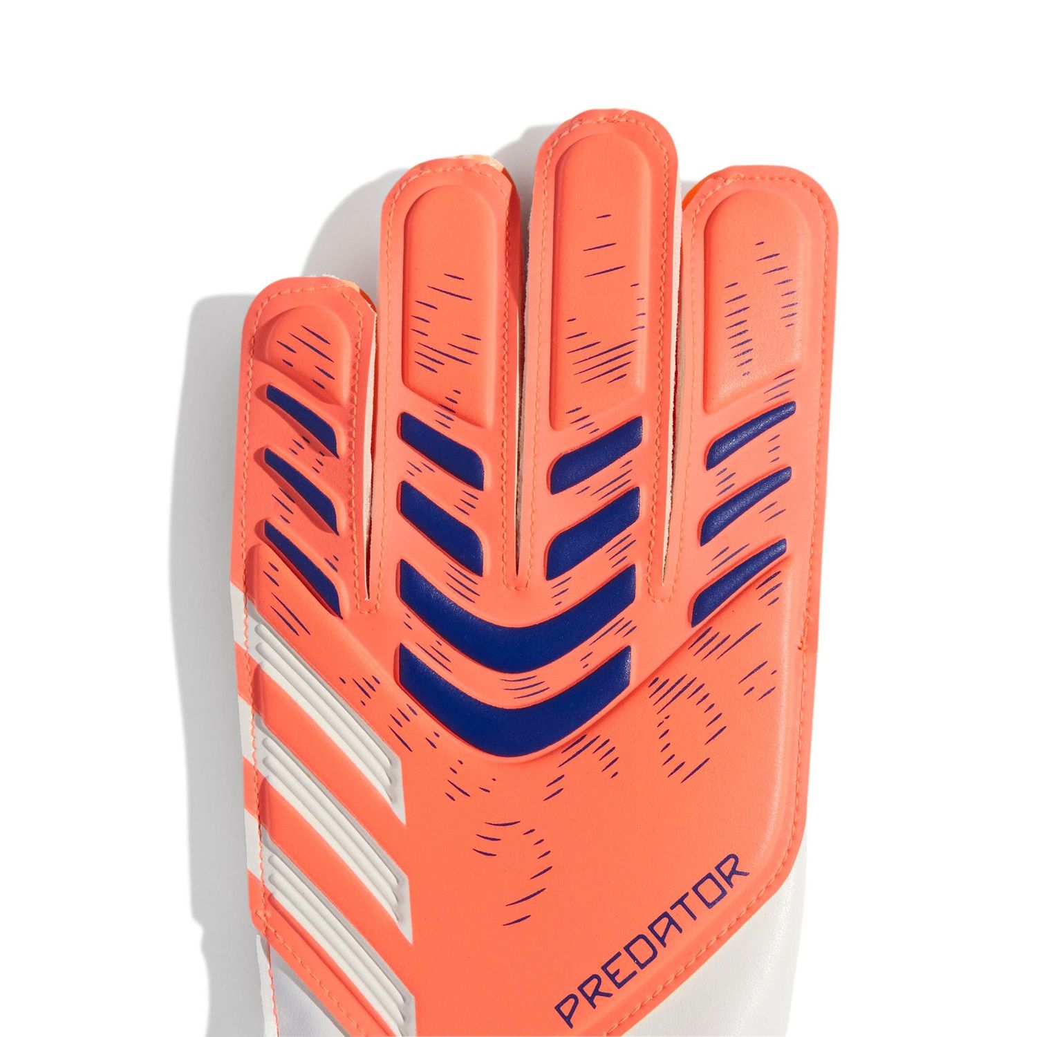 PREDATOR TRAINING GK GLOVES JR (CORAL/BLUE)
