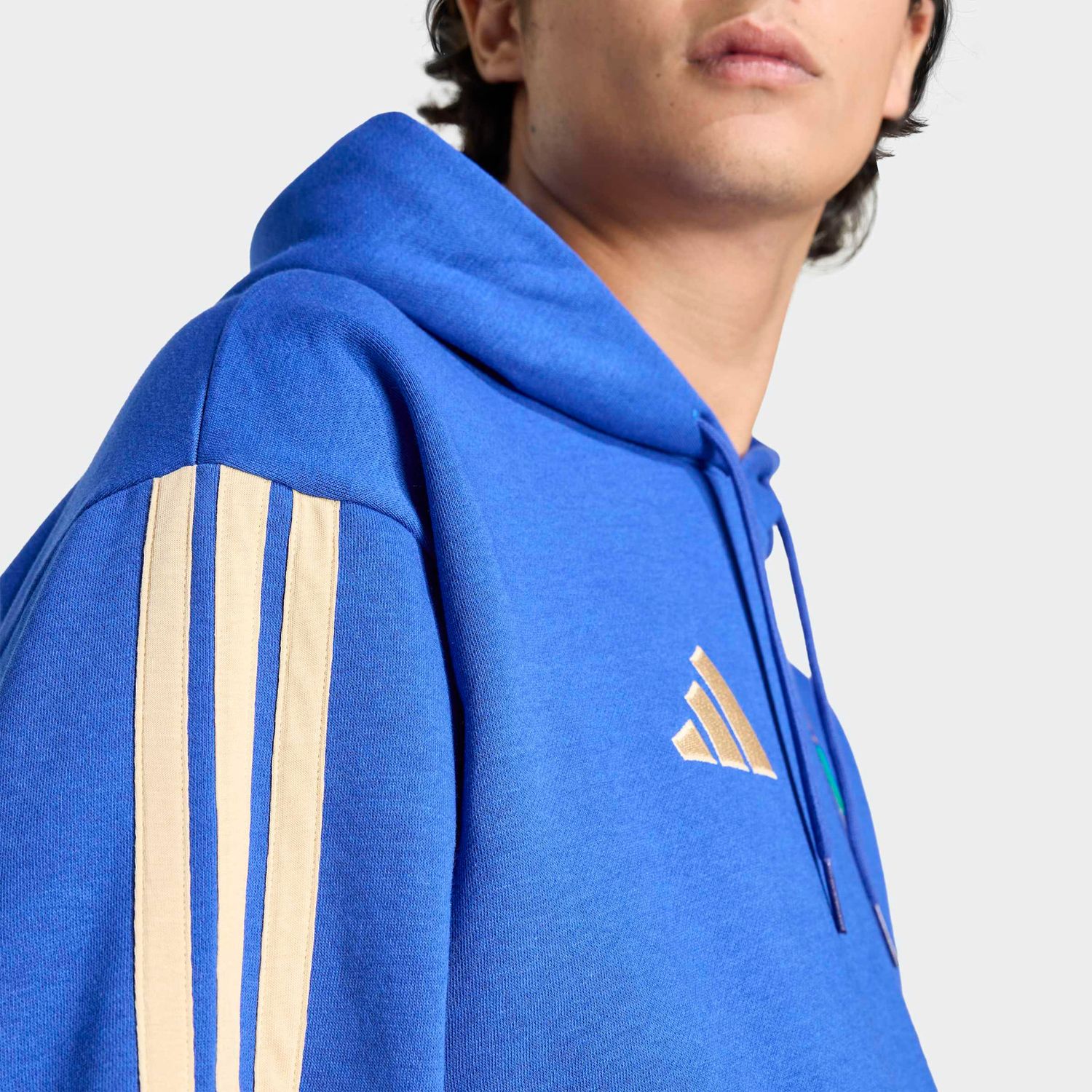 ITALY 2026 DNA FLEECE HOODIE (BLUE)