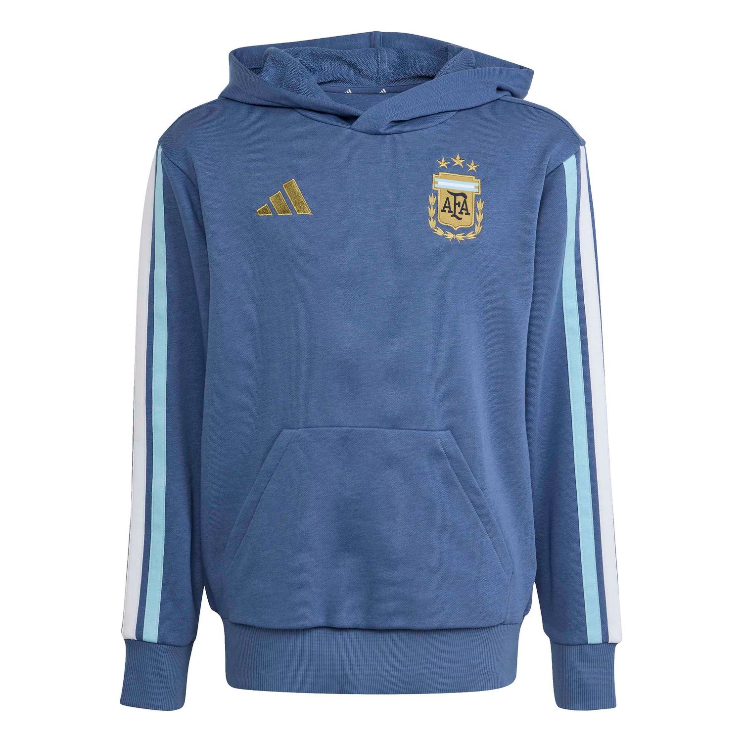 ARGENTINA 2026 DNA FLEECE HOODIE YOUTH (BLUE)