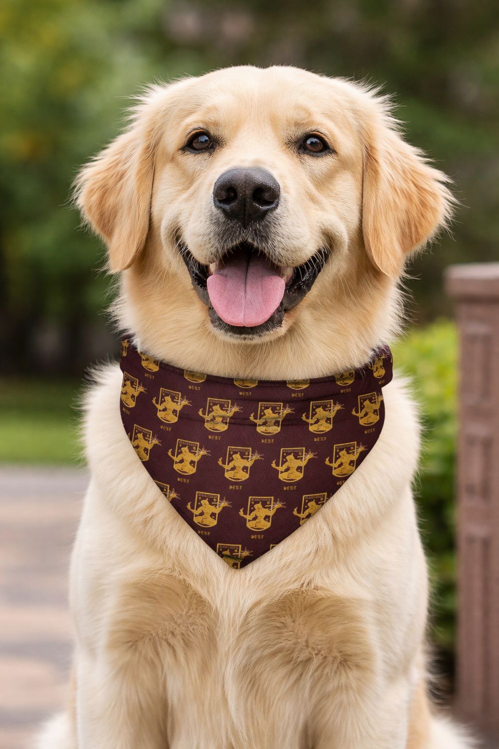 DCFC West "Crest" Clip-on Pet Bandana