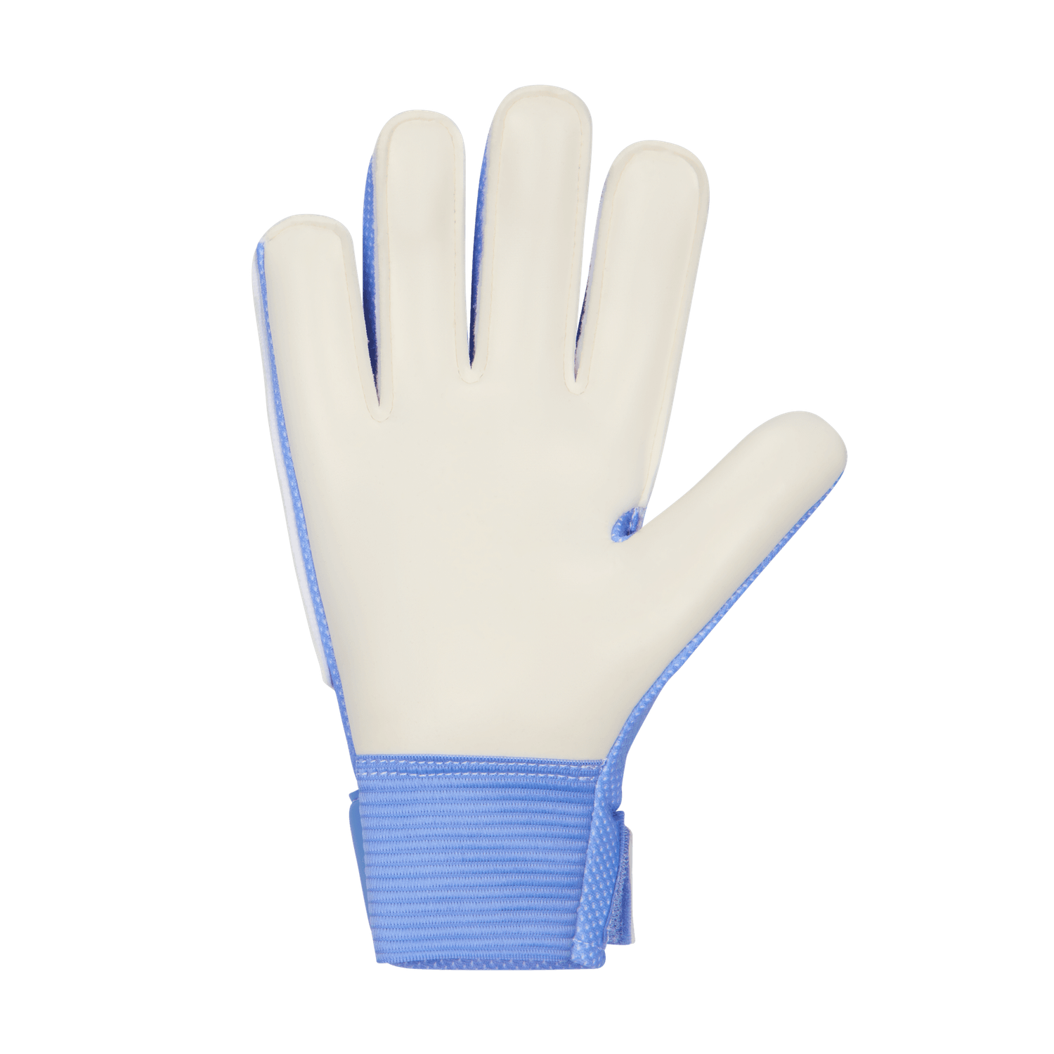 JR GOALKEEPER MATCH GLOVE 2 (BLUE)