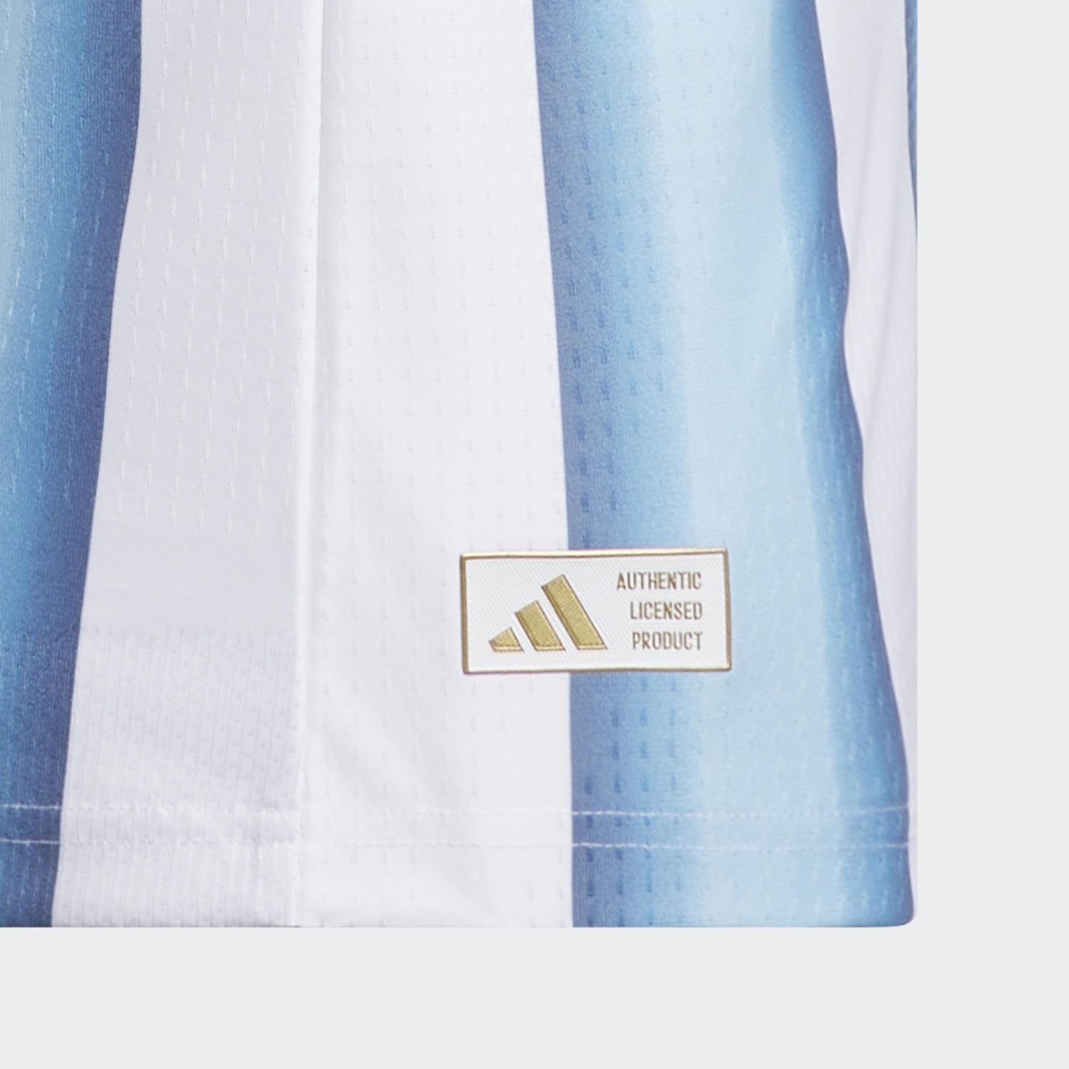 ARGENTINA 2026 YOUTH AUTHENTIC HOME JERSEY (WHITE/BLUE)
