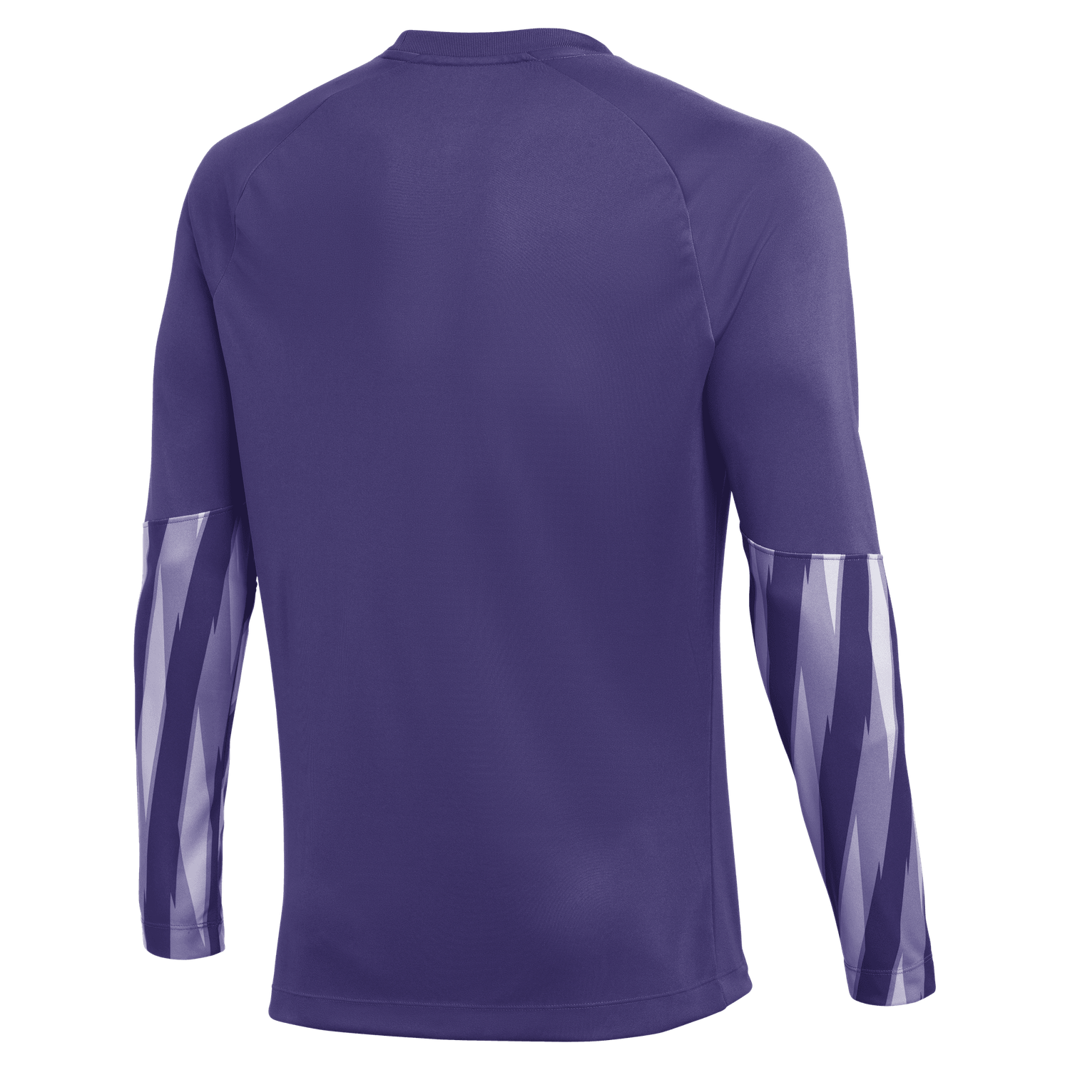 PARK V GK JERSEY LS (PURPLE)