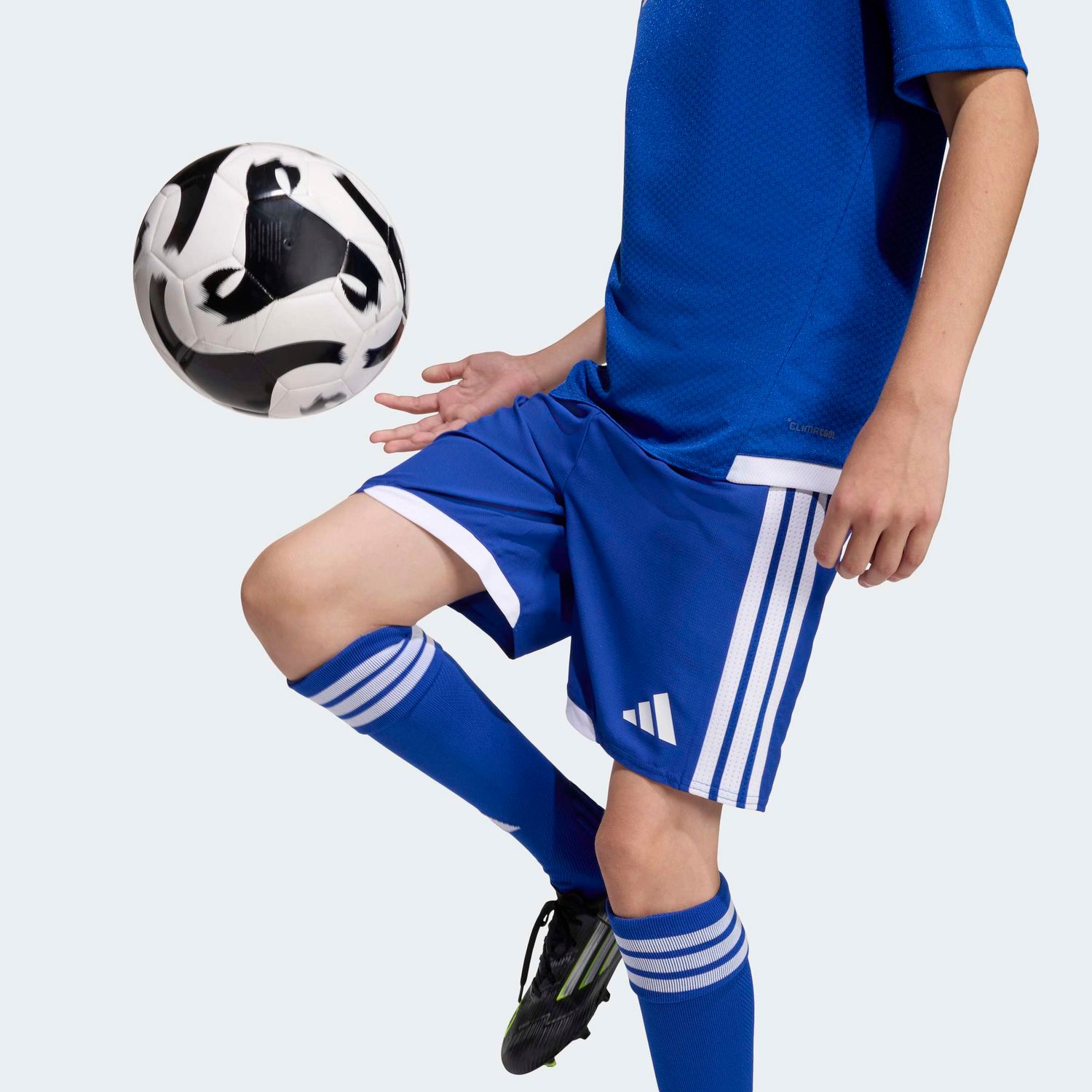 TIRO26 COMPETITION MATCH SHORTS YOUTH (BLUE)