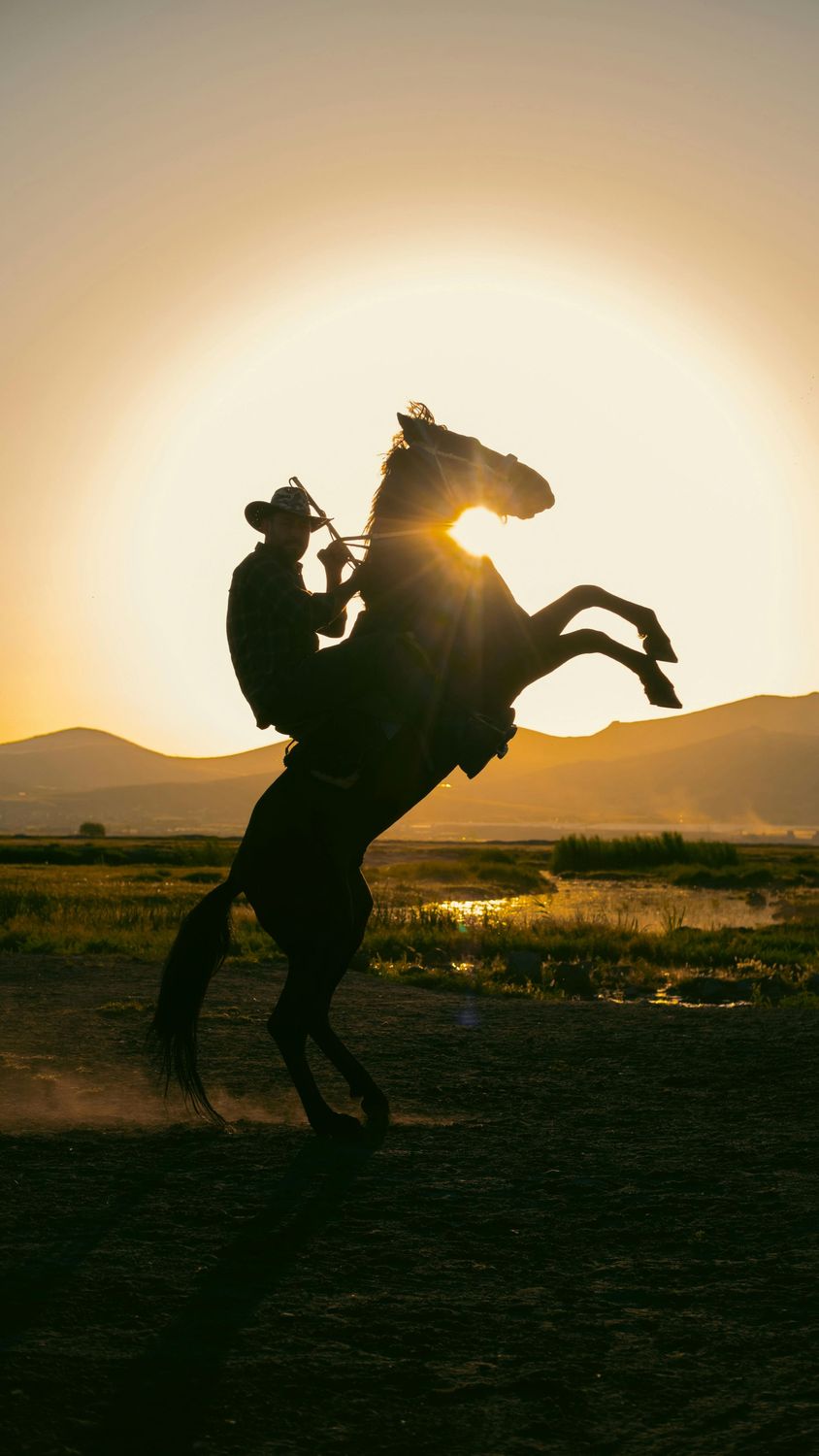 AUGUST 11-14:    WILD WILD WEST