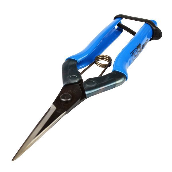 Chikamasa scissors blue handles