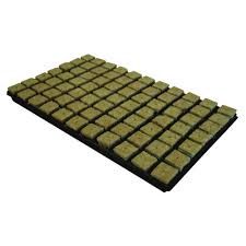 Cultiwool rockwool 1.5&quot; cubes x77