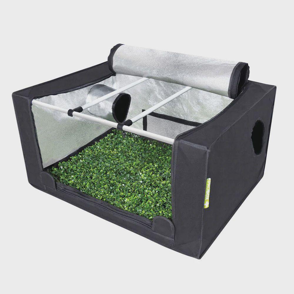 Garden HighPro Probox Propagator (Medium) 0.8m x 0.6 x 0.4
