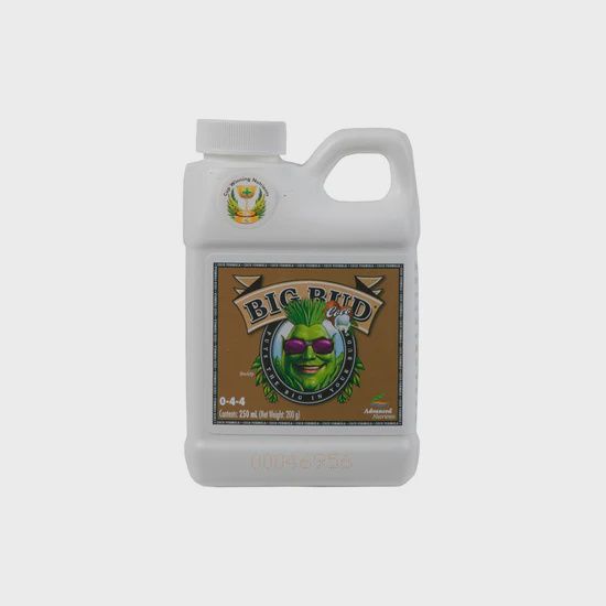 Advanced Nutrients Bigbud Coco, Size: 250ml