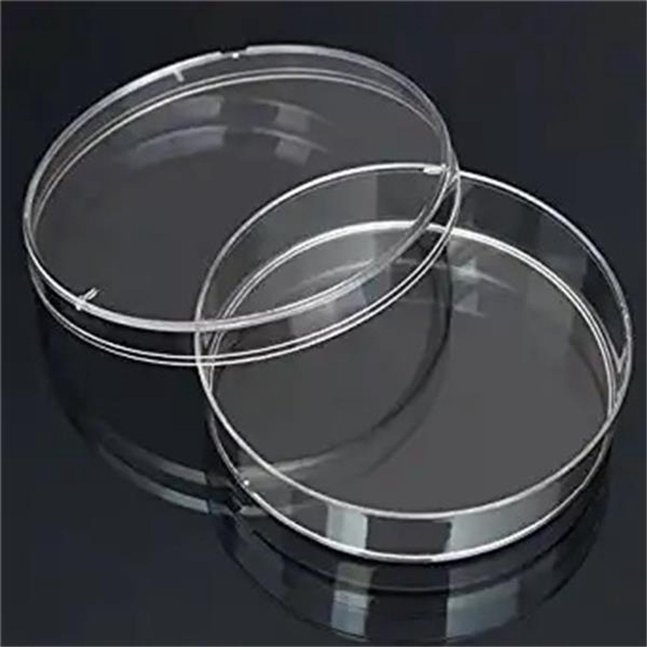 Petri Dishes x10
