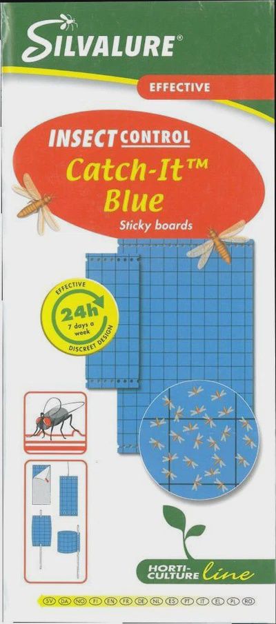 Blue Insect Traps x20