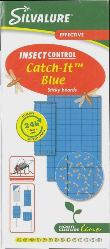 Blue Insect Traps x20