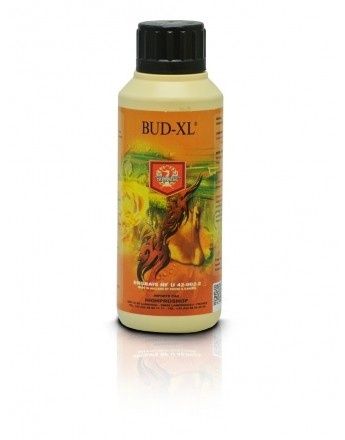 House &amp; Garden Bud XL, Size: 500ml
