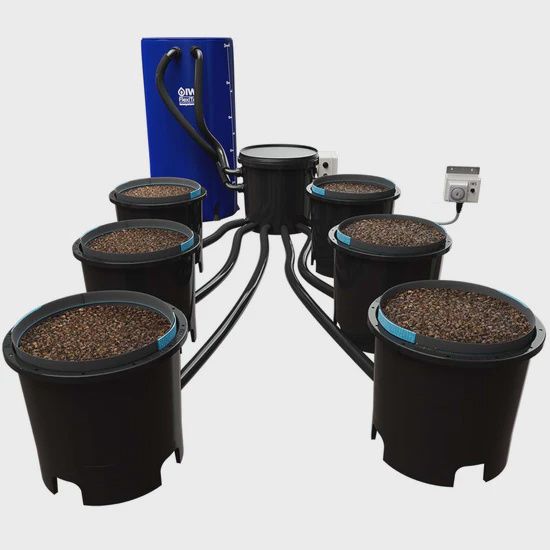 Iws Trident Flood &amp; Drain System, Size: 16L, System Size: 6 Pot With 100L Tank