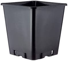Square Pots