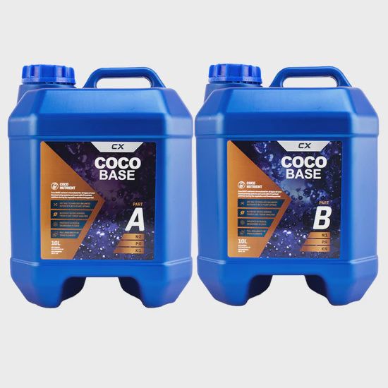 CX Coco Base
