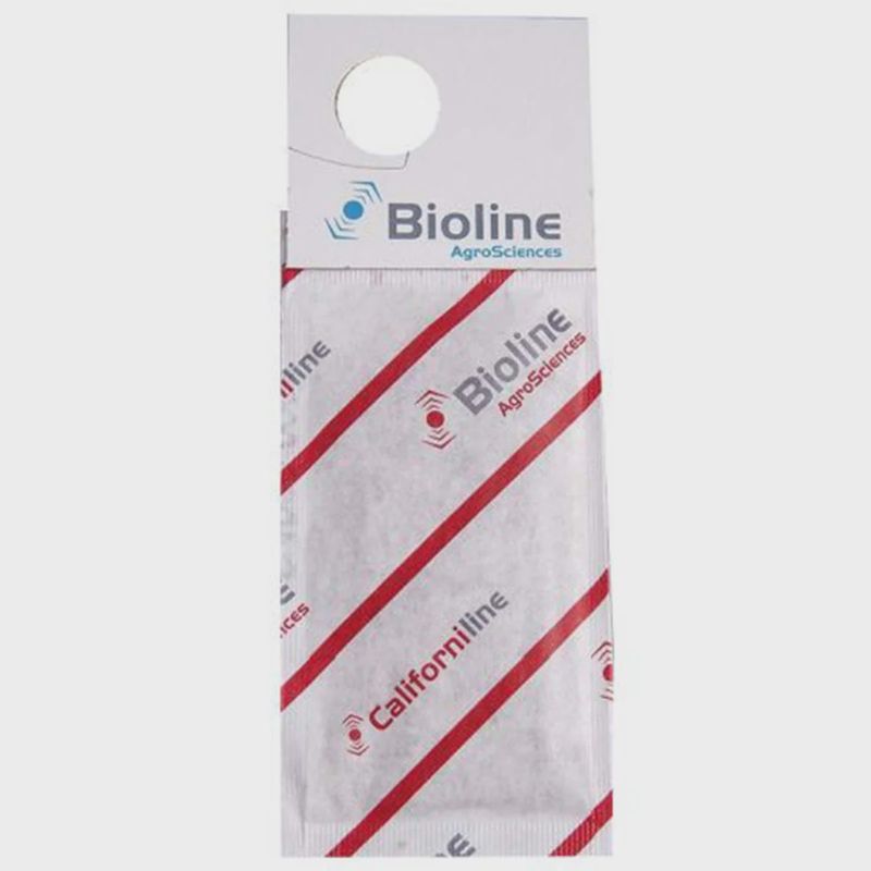 Spider Mite Predator Sachets