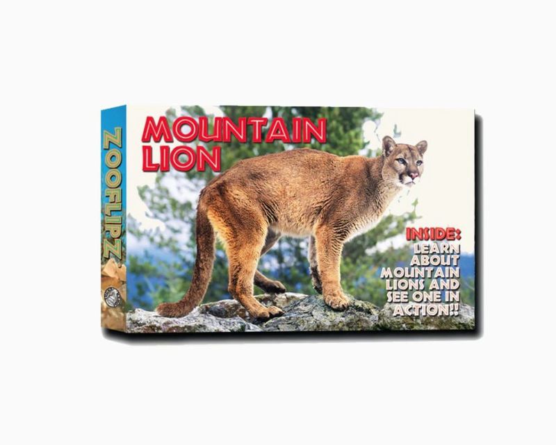 Zooflipz: Mountain Lion