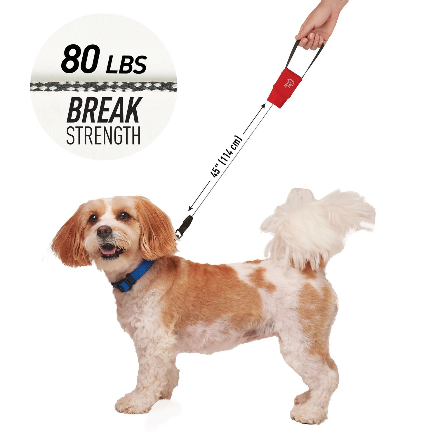 Rad Dog Retractable Pocket Leash, Size: Small