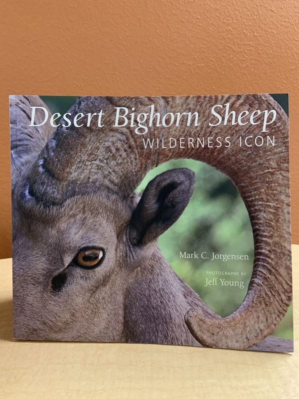 Desert Bighorn Sheep: Wilderness Icon, by Mark Jorgensen