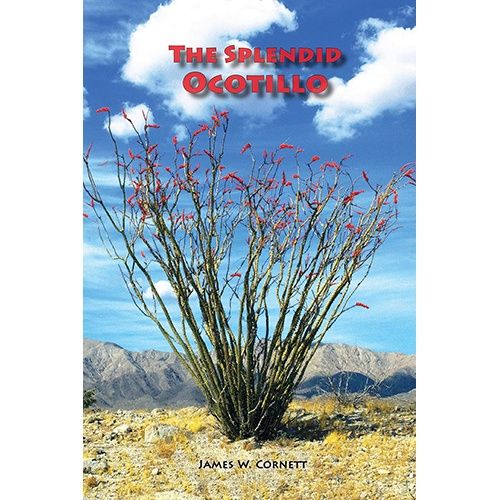 Splendid Ocotillo