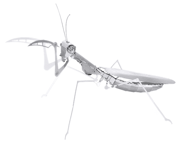 Praying Mantis Model