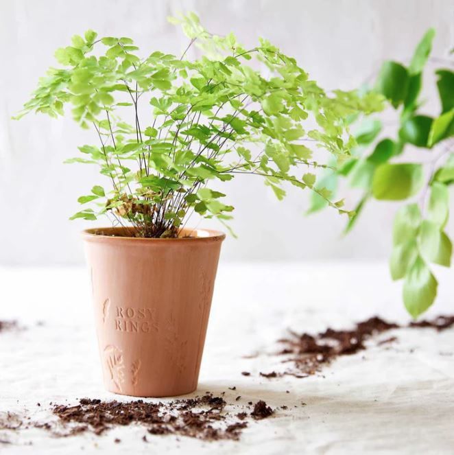 Garden Pot Candle, Rosy Rings Fragrance: Tomato Vine
