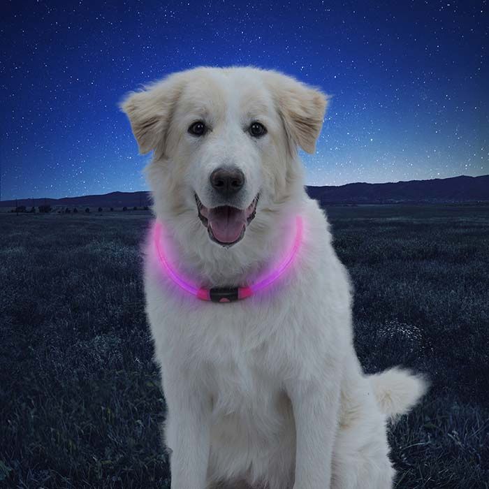 xxx NiteHowl LED Safety Necklace, Color: Pink