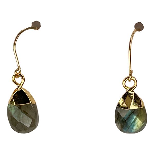 Labradorite Drop Earrings, Color: Gold