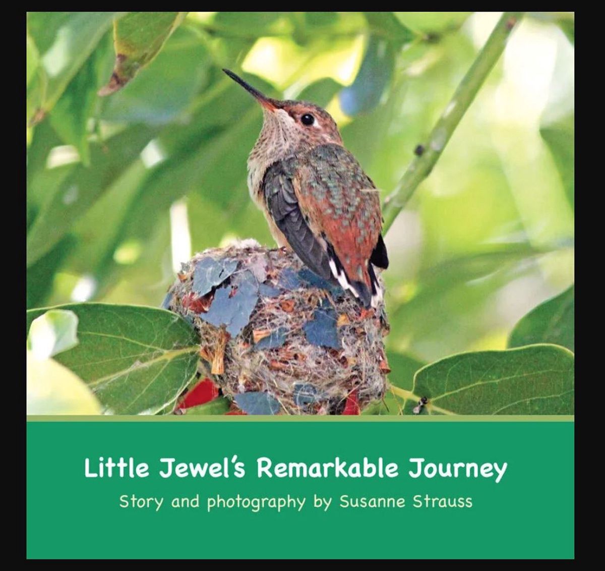 Little Jewel&#39;s Remarkable Journey (oop)