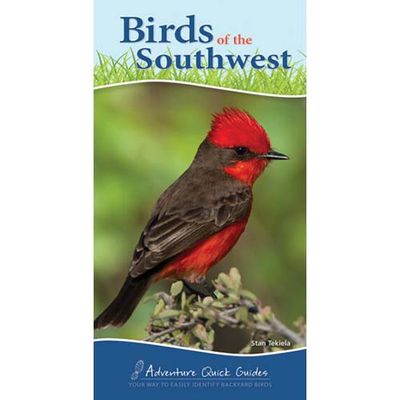 Birds Of The Southwest